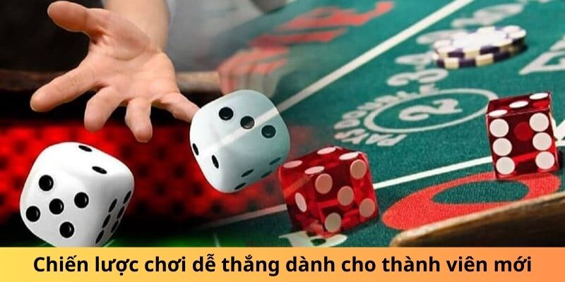 Chiến lược chơi dễ thắng dành cho thành viên mới