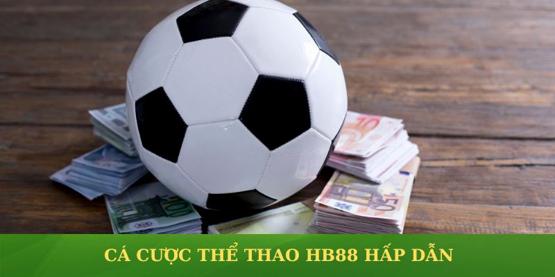 Nhiều bộ môn cá cược thể thao hấp dẫn